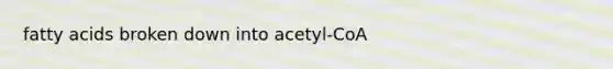 fatty acids broken down into acetyl-CoA