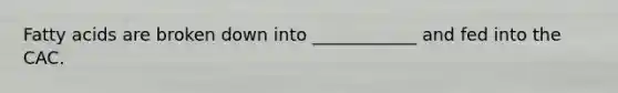Fatty acids are broken down into ____________ and fed into the CAC.