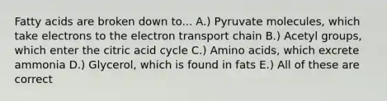 Fatty acids are broken down to... A.) Pyruvate molecules, which take electrons to the electron transport chain B.) Acetyl groups, which enter the citric acid cycle C.) Amino acids, which excrete ammonia D.) Glycerol, which is found in fats E.) All of these are correct