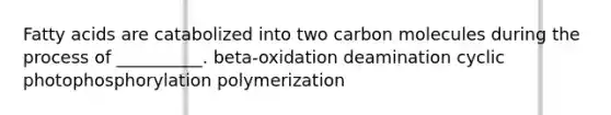 Fatty acids are catabolized into two carbon molecules during the process of __________. beta-oxidation deamination cyclic photophosphorylation polymerization