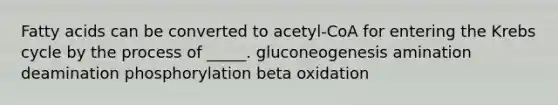 Fatty acids can be converted to acetyl-CoA for entering the Krebs cycle by the process of _____. gluconeogenesis amination deamination phosphorylation beta oxidation