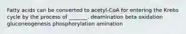 Fatty acids can be converted to acetyl-CoA for entering the Krebs cycle by the process of _______. deamination beta oxidation gluconeogenesis phosphorylation amination