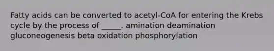 Fatty acids can be converted to acetyl-CoA for entering the Krebs cycle by the process of _____. amination deamination gluconeogenesis beta oxidation phosphorylation