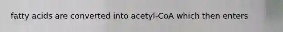 fatty acids are converted into acetyl-CoA which then enters