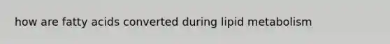how are fatty acids converted during lipid metabolism