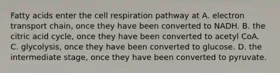 Fatty acids enter the cell respiration pathway at A. electron transport chain, once they have been converted to NADH. B. the citric acid cycle, once they have been converted to acetyl CoA. C. glycolysis, once they have been converted to glucose. D. the intermediate stage, once they have been converted to pyruvate.