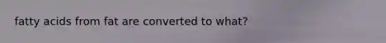 fatty acids from fat are converted to what?