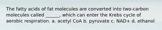 The fatty acids of fat molecules are converted into two-carbon molecules called ______, which can enter the Krebs cycle of aerobic respiration. a. acetyl CoA b. pyruvate c. NAD+ d. ethanol