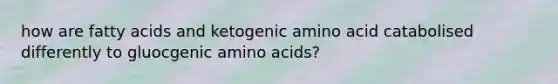 how are fatty acids and ketogenic amino acid catabolised differently to gluocgenic amino acids?