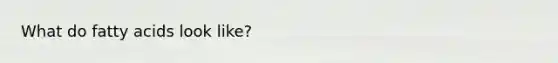 What do fatty acids look like?