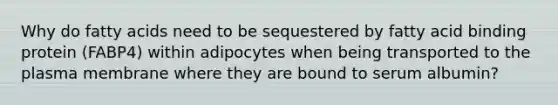 Why do fatty acids need to be sequestered by fatty acid binding protein (FABP4) within adipocytes when being transported to the plasma membrane where they are bound to serum albumin?