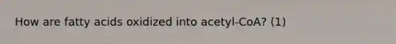 How are fatty acids oxidized into acetyl-CoA? (1)