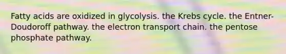 Fatty acids are oxidized in glycolysis. the Krebs cycle. the Entner-Doudoroff pathway. the electron transport chain. the pentose phosphate pathway.