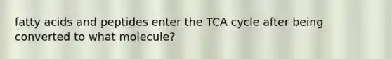 fatty acids and peptides enter the TCA cycle after being converted to what molecule?