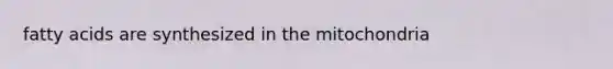 fatty acids are synthesized in the mitochondria