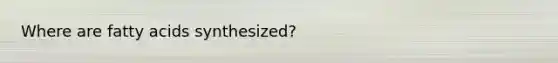 Where are fatty acids synthesized?