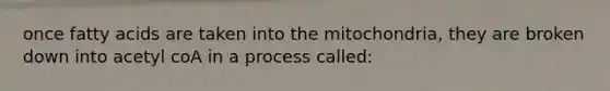 once fatty acids are taken into the mitochondria, they are broken down into acetyl coA in a process called: