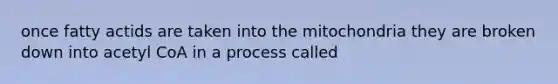 once fatty actids are taken into the mitochondria they are broken down into acetyl CoA in a process called