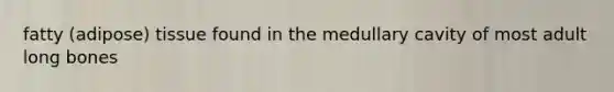 fatty (adipose) tissue found in the medullary cavity of most adult long bones