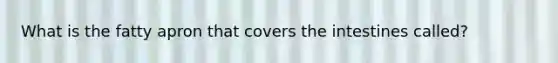 What is the fatty apron that covers the intestines called?