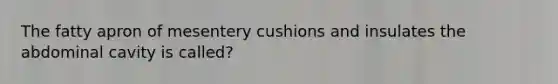 The fatty apron of mesentery cushions and insulates the abdominal cavity is called?