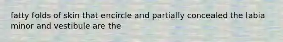 fatty folds of skin that encircle and partially concealed the labia minor and vestibule are the