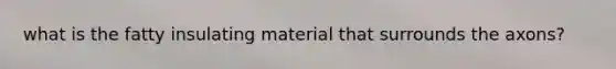 what is the fatty insulating material that surrounds the axons?