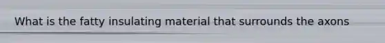 What is the fatty insulating material that surrounds the axons