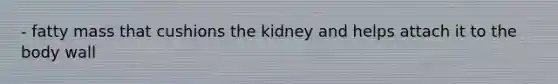 - fatty mass that cushions the kidney and helps attach it to the body wall