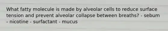 What fatty molecule is made by alveolar cells to reduce surface tension and prevent alveolar collapse between breaths? - sebum - nicotine - surfactant - mucus