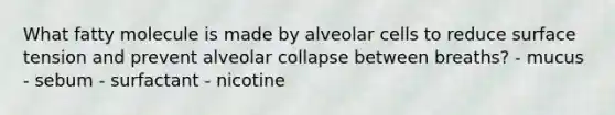 What fatty molecule is made by alveolar cells to reduce surface tension and prevent alveolar collapse between breaths? - mucus - sebum - surfactant - nicotine