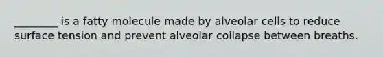 ________ is a fatty molecule made by alveolar cells to reduce surface tension and prevent alveolar collapse between breaths.