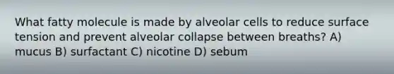 What fatty molecule is made by alveolar cells to reduce surface tension and prevent alveolar collapse between breaths? A) mucus B) surfactant C) nicotine D) sebum