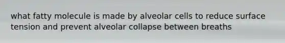 what fatty molecule is made by alveolar cells to reduce surface tension and prevent alveolar collapse between breaths