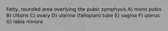 Fatty, rounded area overlying the pubic symphysis A) mons pubis B) clitoris C) ovary D) uterine (fallopian) tube E) vagina F) uterus G) labia minora