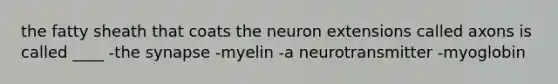 the fatty sheath that coats the neuron extensions called axons is called ____ -<a href='https://www.questionai.com/knowledge/kTCXU7vaKU-the-synapse' class='anchor-knowledge'>the synapse</a> -myelin -a neurotransmitter -myoglobin