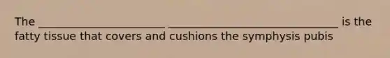 The _______________________ _______________________________ is the fatty tissue that covers and cushions the symphysis pubis