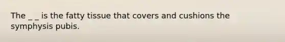 The _ _ is the fatty tissue that covers and cushions the symphysis pubis.