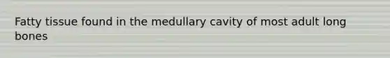 Fatty tissue found in the medullary cavity of most adult long bones