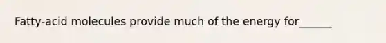 Fatty-acid molecules provide much of the energy for______