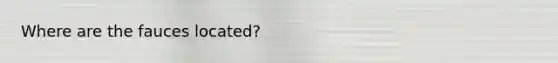 Where are the fauces located?