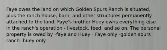 Faye owes the land on which Golden Spurs Ranch is situated, plus the ranch house, barn, and other structures permanently attached to the land. Faye's brother Huey owns everything else in the ranch's operation - livestock, feed, and so on. The personal property is owed by -faye and Huey - Faye only -golden spurs ranch -huey only