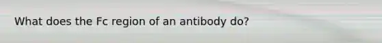 What does the Fc region of an antibody do?