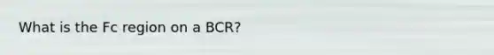 What is the Fc region on a BCR?