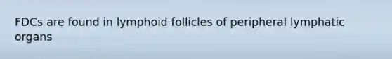 FDCs are found in lymphoid follicles of peripheral lymphatic organs