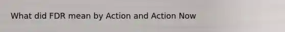 What did FDR mean by Action and Action Now