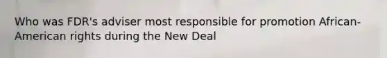 Who was FDR's adviser most responsible for promotion African-American rights during the New Deal