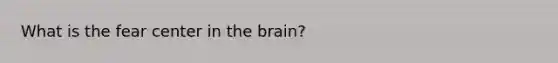 What is the fear center in <a href='https://www.questionai.com/knowledge/kLMtJeqKp6-the-brain' class='anchor-knowledge'>the brain</a>?