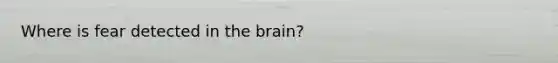 Where is fear detected in the brain?