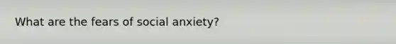 What are the fears of social anxiety?